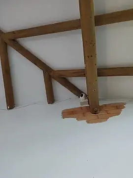 Rosa_Warreen_ webcam