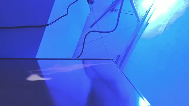 Roxanedewalle webcam