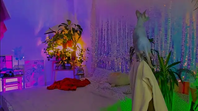 poli__ (Ask my age) - hands bra