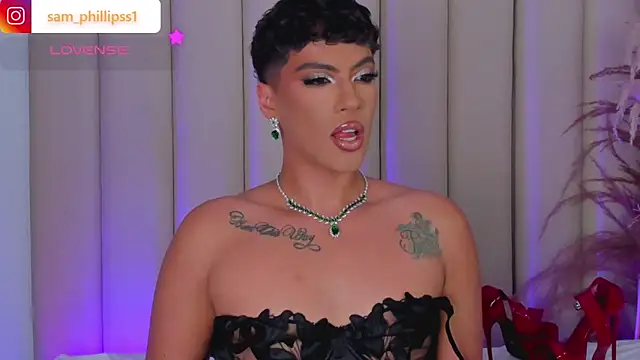 sam_phillipss webcam