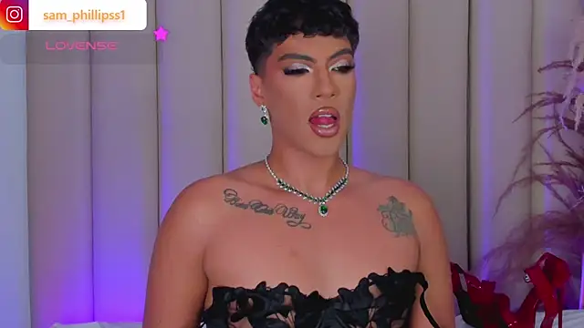 sam_phillipss webcam