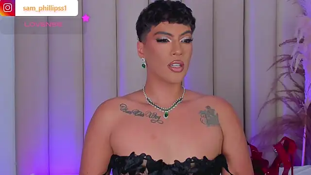 sam_phillipss webcam