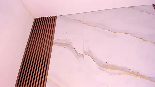 liz_monserrat_1 webcam