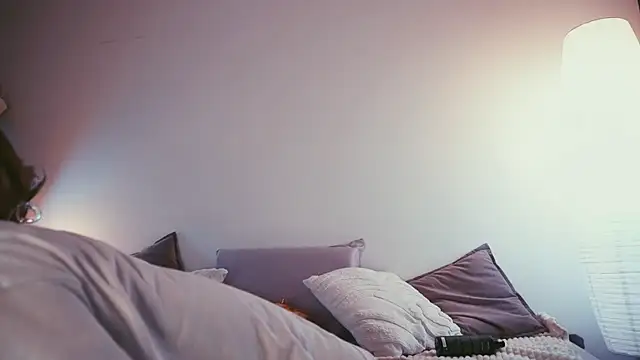 STANOVAYA300KG webcam