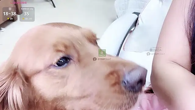 808dass (F young) - 电动乳夹震动3分钟