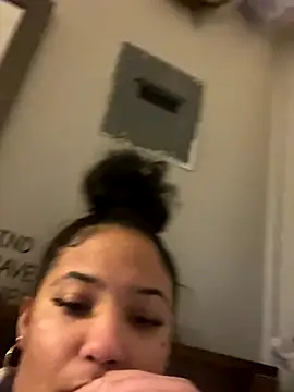 StylishEchium webcam