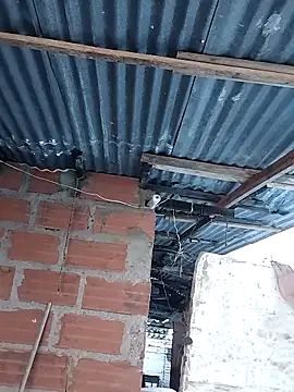 hoteder (M young) - Show zoom anus