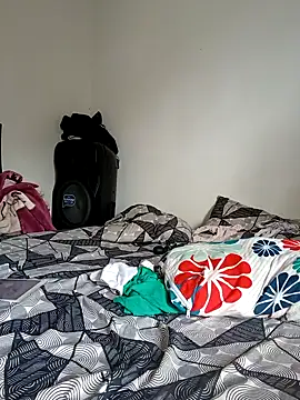 LEIRIS_Y_FRED_01 webcam