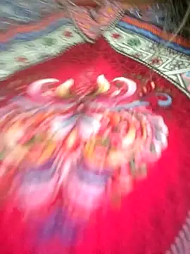 AlyDenalioficial webcam