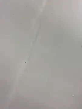 garoto19sex (M young) - 100