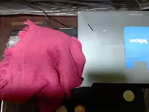 WildHornyTiger18 webcam