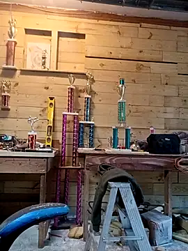 Buffshagswell webcam