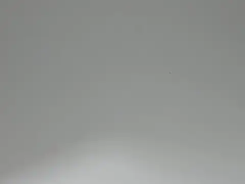 IsabelaANDjordan webcam