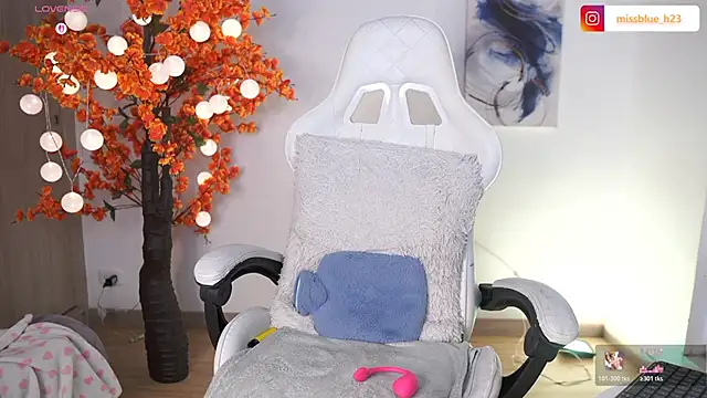 VictoriaHiill webcam