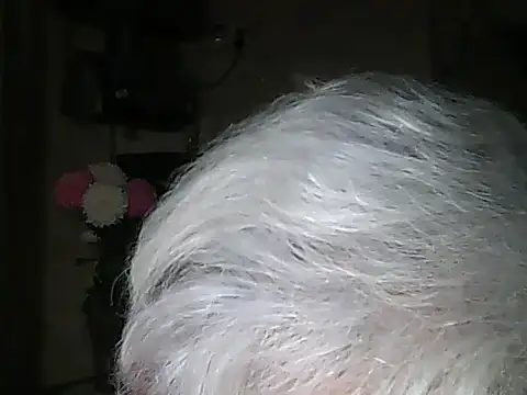 valeriakroww (Ask my age) - #best #best-grannies #blondes #blondes-grannies #cam2cam #cheapest-privates #cheapest-privates-best #cheapest-privates-grannies #cheapest-privates-white #dirty-talk #grannies #housewives #new #new-blondes #new-cheapest-privates #new-grannies #new-petite #new-white #petite #petite-blondes #petite-grannies #petite-white #sexting #small-audience #topless #topless-grannies #topless-white #white #white-grannies