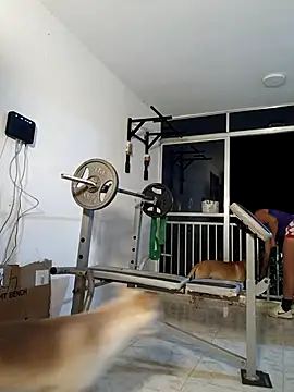 LEIRIS_Y_FRED_01 webcam