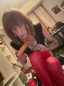 Dildapassivella webcam