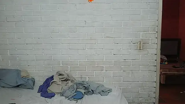 valeriaswang_Lucas webcam