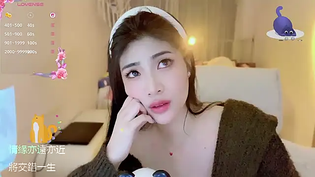 Vaidurya-Yolo webcam