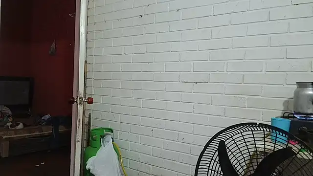 valeriaswang_Lucas webcam