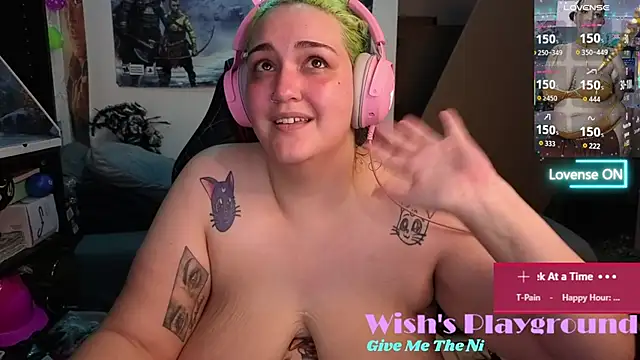 nevermakeawish webcam