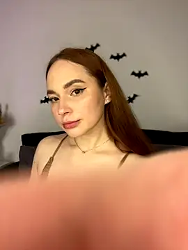 AlexaSpark_ webcam