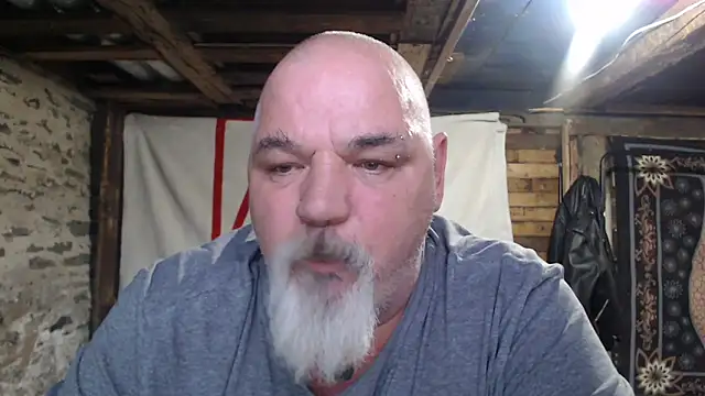 Newfiesausage1972 webcam