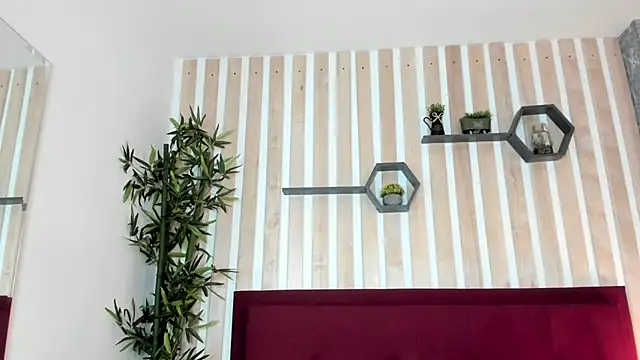 CameronCollins_ webcam