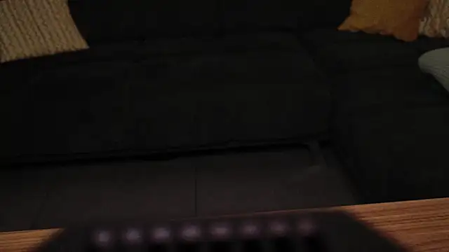 DirtyGermanBiCouple webcam