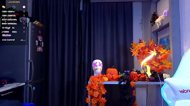 Hisoka_akerley webcam