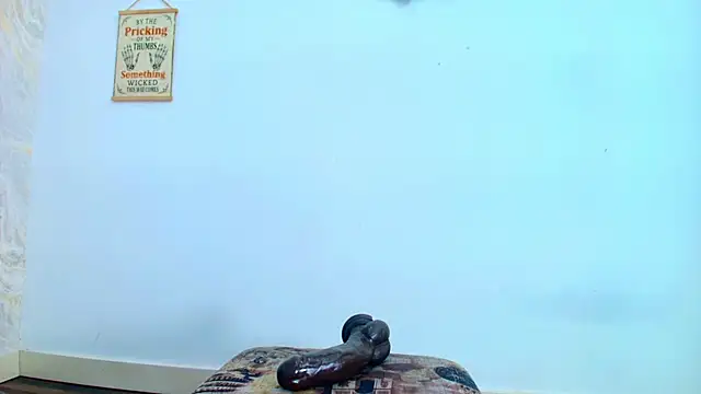 sofiaa_little webcam