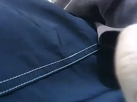 brilliant9 stripchat