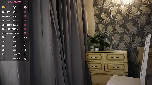 SibleyAllston webcam