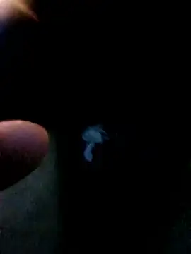 alfrendino44 (M young) - #cam2cam #cheapest-privates #ejaculation #flashing #hd #latin #mexican #mobile #outdoor #pump #skinny #small-audience #spanish-speaking #straight #young