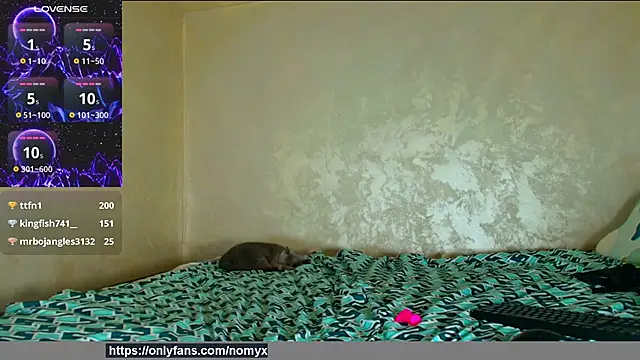 angeliquevany webcam