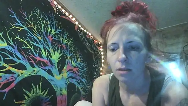 SalutedTeaching webcam