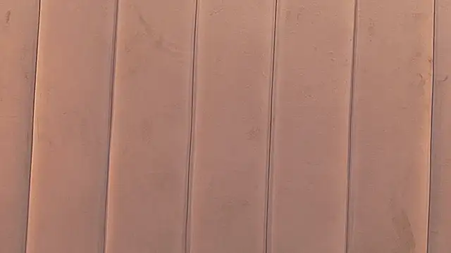 IrisDeLaVega_ webcam