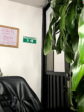 SCARLETT_INK_ webcam