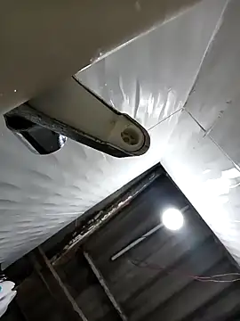 gameliano (M young) - 500