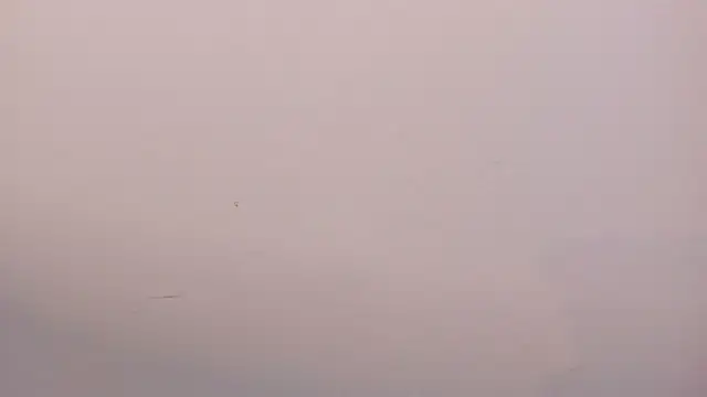 SalvatoreDmore webcam