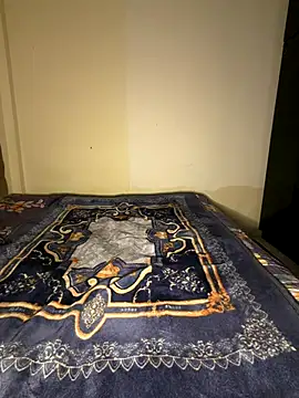 Payal_agarwal webcam