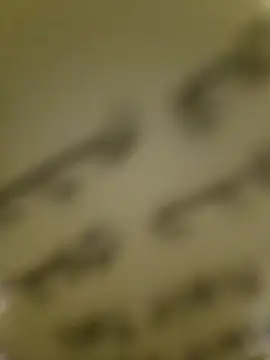 WelloffUpthrow webcam