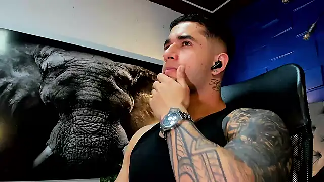 king_falconer webcam