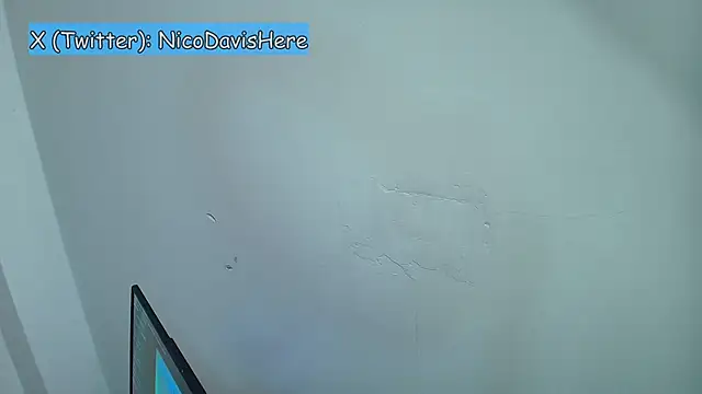 NicoDavisOfficial webcam