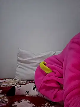 altinya (F young) - Style dog