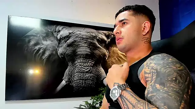 king_falconer webcam