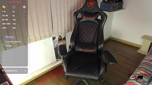 Siriss_boyrag webcam