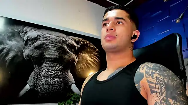 king_falconer webcam