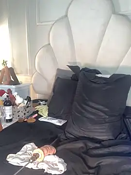 Liincostelloo webcam