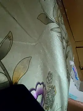 Pagalladka-89 webcam